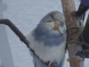 DSC01648.JPG