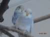 DSC01649.JPG