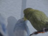 DSC01646.JPG