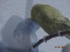 DSC01647.JPG