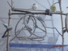DSC01642.JPG