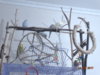 DSC01643.JPG