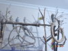 DSC01650.JPG