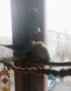 IMG_20170423_111159_292.jpg
