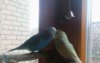 IMG_20170423_112719_104.jpg