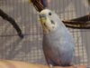 DSC01682.JPG