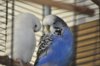 DSC_1526.jpg