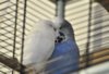 DSC_1530.jpg