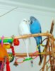 IMG_20170409_135536.jpg