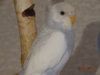 DSC01696.JPG