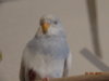 DSC01691.JPG