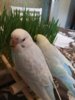 20170414_130828.jpg