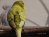 DSC01707.JPG