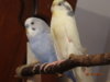 DSC01715.JPG