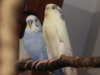 DSC01716.JPG