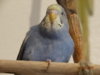 DSC01690.JPG
