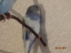 DSC01699.JPG