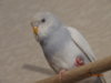 DSC01708.JPG