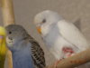 DSC01717.JPG
