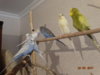 DSC01698.JPG