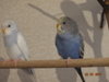 DSC01693.JPG