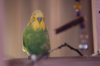 _DSC4058@0,25x.jpg