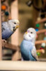 _DSC3925@0,25x.jpg