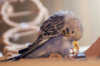 _DSC4121@0,5x.jpg