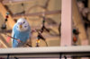 _DSC4067@0,25x.jpg