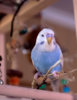 _DSC4056@0,25x.jpg