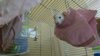 IMG_20170425_141059.jpg