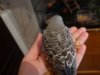 DSC01759.JPG