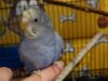 DSC01756.JPG