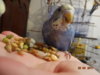 DSC01757.JPG