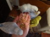DSC01769.JPG