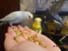 DSC01762.JPG