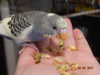 DSC01773.JPG