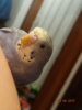 DSC01772.JPG
