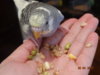 DSC01774.JPG