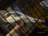 DSC01753.JPG