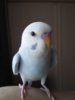 20170428_131647.jpg