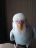 20170428_131710.jpg