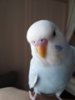 20170428_131833.jpg
