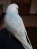 20170428_132222.jpg