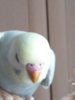 20170428_133224.jpg