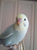 20170428_133928.jpg