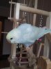 20170428_133317.jpg