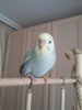 20170428_133922.jpg