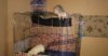 IMG-20170501-WA0044.jpeg