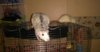 IMG-20170501-WA0048.jpeg